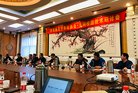 kai云体育网络